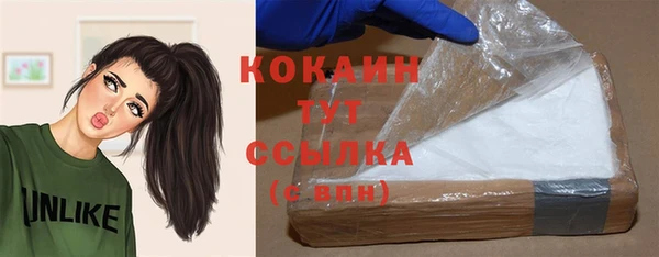 дмт Белокуриха