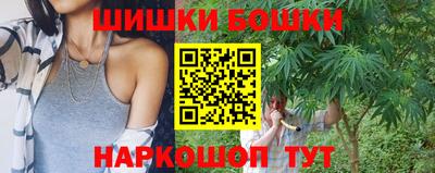 крисы Абакан