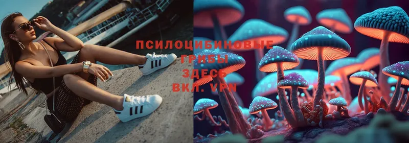 Галлюциногенные грибы Magic Shrooms  сколько стоит  Видное 