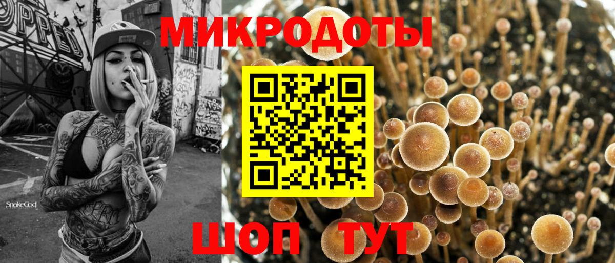 Галлюциногенные грибы прущие грибы Видное