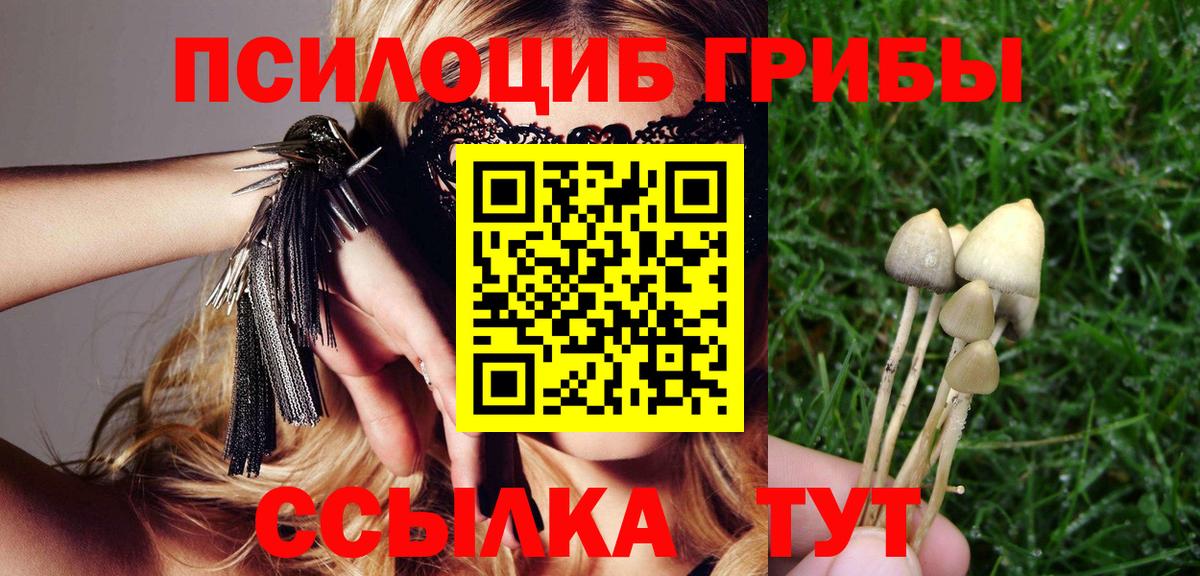 Псилоцибиновые грибы MAGIC MUSHROOMS  Видное  закладки  Псилоцибиновые грибы ЛСД 