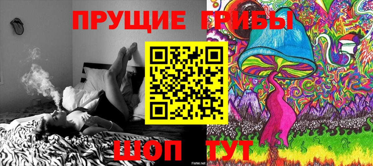 Псилоцибиновые грибы ЛСД Видное