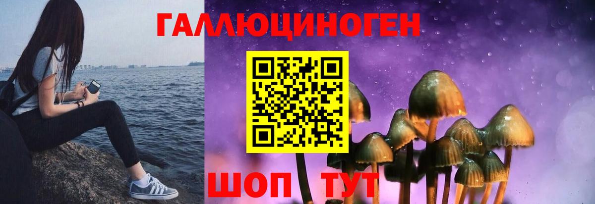 Галлюциногенные грибы прущие грибы  Вход с VPN  Видное 